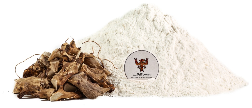 Ямс Дикий Мексиканский, экстракт корня (Wild Yam, 16% диосгенин) фото 1 — PsiTown