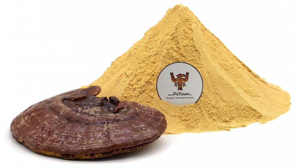 Рейши гриб, мицелий (Ganoderma lucidum, mycelium) фото 1 — PsiTown