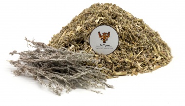 Полынь горькая, резанная (листья, стебли, цветы) — PsiTown