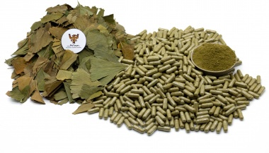 Гинкго Билоба, капсулы - лист (Ginkgo Biloba, capsulated) — PsiTown