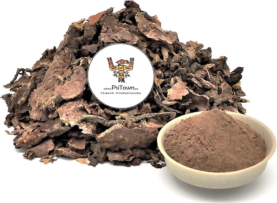 Родиола Розовая, экстракт корня (3% салидрозидов) фото 1 — PsiTown
