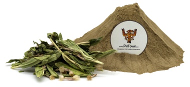 Опт - Аюга Туркестанская (Ajuga Turkestanica, Живучка), экстракт — PsiTown