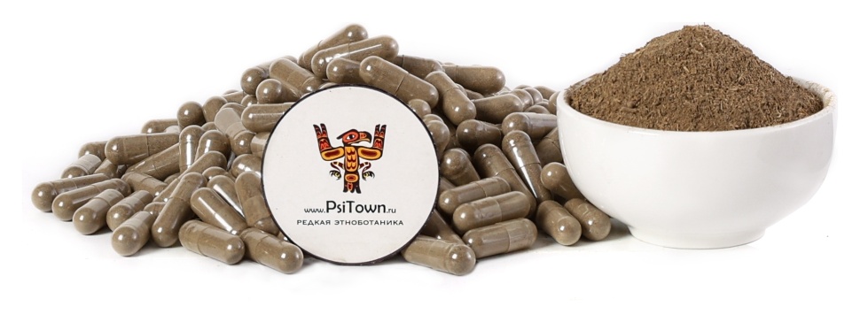 Бакопа Монье, капсулы - лист (Bacopa Monnieri, Brahmi) фото 1 &mdash; PsiTown