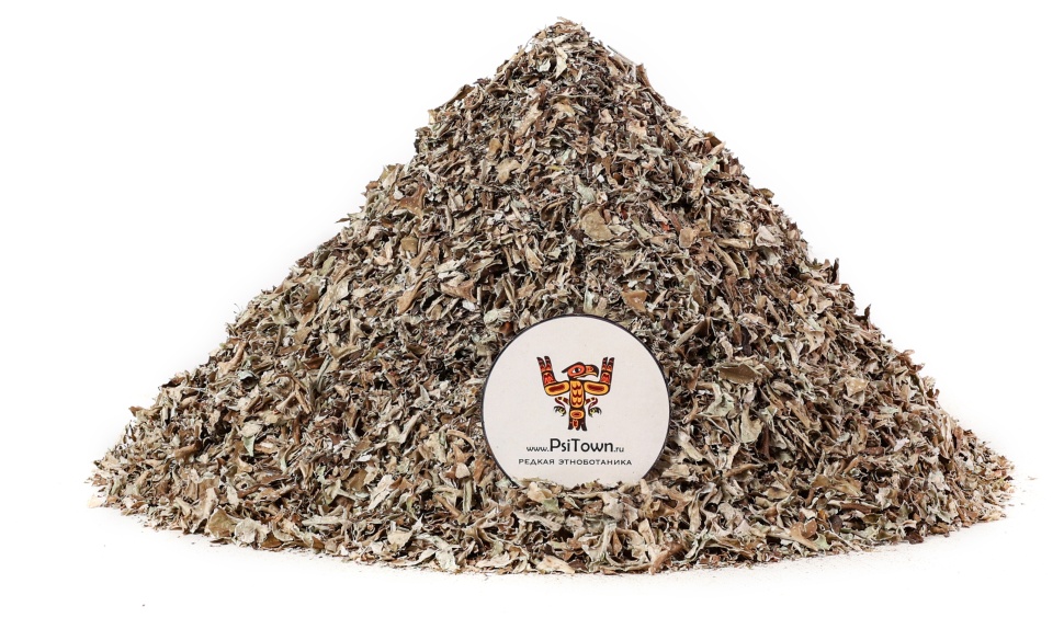 Исландский Мох, сушёный измельченный (Цетрарий) фото 1 &mdash; PsiTown