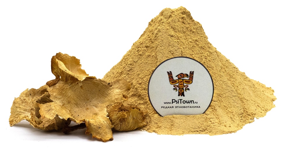 Лисичка гриб, молотый (Cantharellus Cibarius) фото 1 — PsiTown