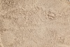 Подорожник, мука из семян  (Псиллиум, Plantago Psyllium) фото 3 &mdash; PsiTown