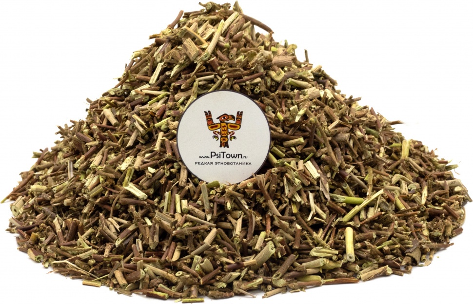 Джимнема Сильвестра, стебли (Гурмар) фото 1 &mdash; PsiTown