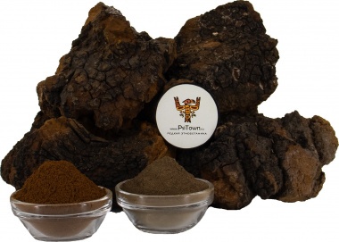 Чага, экстракт гриба (Inonotus Bliquus) - собственное производство — PsiTown