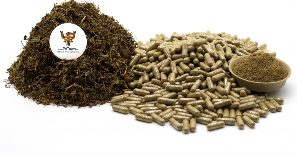 Готу Кола, капсулы - лист (Центелла Азиатская) фото 1 &mdash; PsiTown