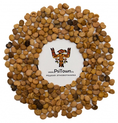 Мандрагора семена (Mandragora Autumnalis, seeds) — PsiTown