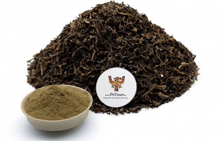 Бакопа Монье, экстракт (Брами, Bacopa Monnieri, 20% бакопозиды) Бакопа Монье - один из главных ноотропов Аюрведы, который будет полезен для людей всех возрастов:
Детям – как действенное средство для лечения СДВГ; 
Взрослым – как ноотроп, который эффективно укрепит память, улучшит работу мозга, поднимет настроение и поможет сохранить красоту и молодость; 
пожилым людям -  для профилактики и лечения нейродегенеративных заболеваний.
Также мы отдельно рекомендуем принимать Бакопа Монье студентам и работникам интеллектуального труда, ежедневно сталкивающимся с большими пластами информации, и всем, кто страдает от лёгкой формы депрессии, стресса и тревожности.
Бакопа Монье прекрасно сочетается с другими  популярными ноотропами, к примеру, с Ежовиком, Готу Колой или Гинкго Билобой. В каждом случае продукты будут усиливать ноотропные свойства друг друга и расширят ваши границы в биохакинге. 