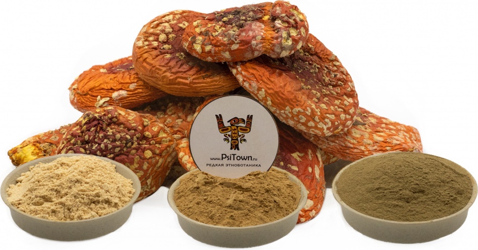 Грибной микс "Адаптоген, Антистресс" фото 1 — PsiTown
