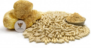 Ежовик Гребенчатый, капсулы - мицелий (Гериций, Lion&#039;s Mane, mycelium) — PsiTown