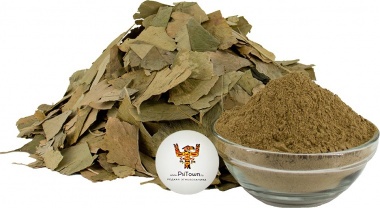 Гинкго Билоба, экстракт (Ginkgo Biloba, extract) - собственное производство — PsiTown