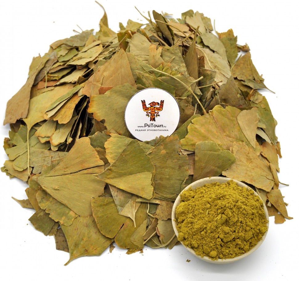 Опт - Гинкго Билоба, молотый лист (Ginkgo Biloba) фото 1 — PsiTown