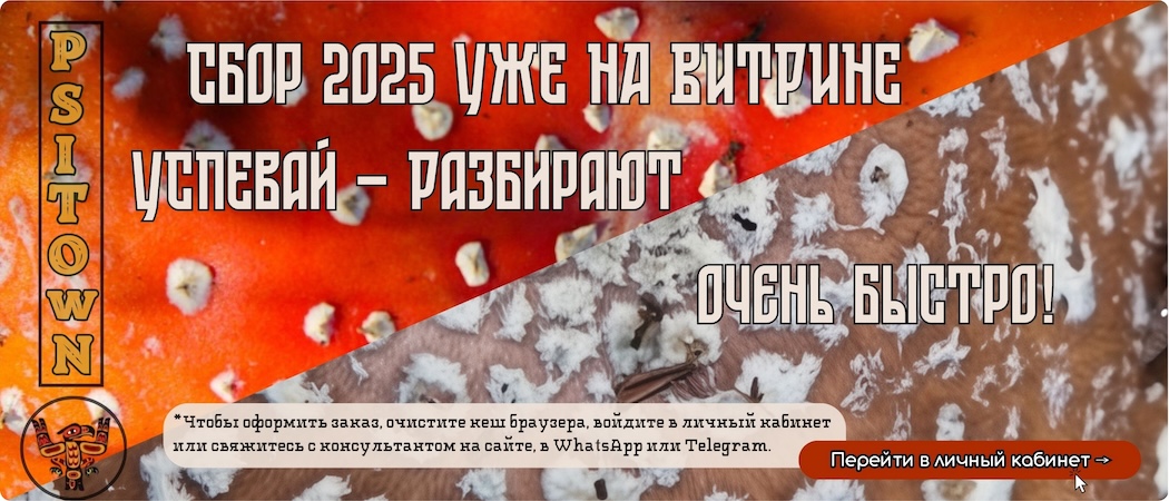 Специальное предложение